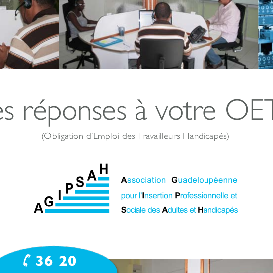 Entreprise Adaptée